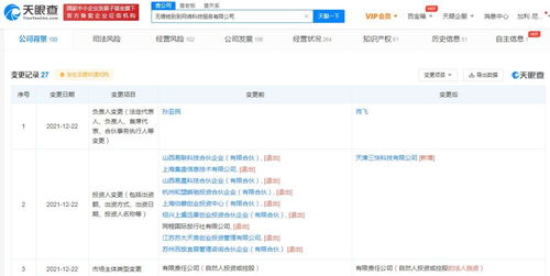计算机系统集成服务 构建高效、可靠的数字化基石